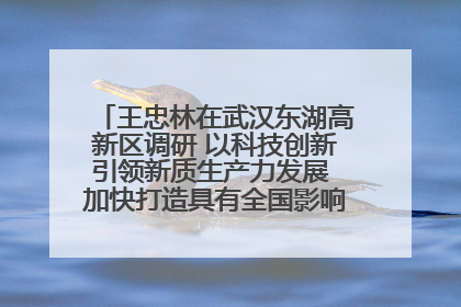 王忠林在武汉东湖高新区调研 以科技创新引领新质生产力发展 加快打造具有全国影响力的科技创新高地