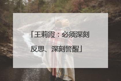 王莉霞：必须深刻反思、深刻警醒