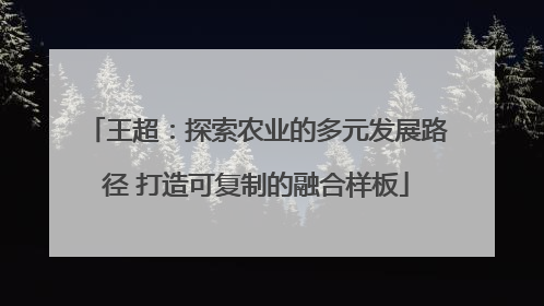 王超：探索农业的多元发展路径 打造可复制的融合样板