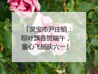 灵宝市尹庄镇：粽叶飘香贺端午，童心飞扬庆六一
