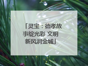 灵宝：德孝故事绽光彩 文明新风润金城