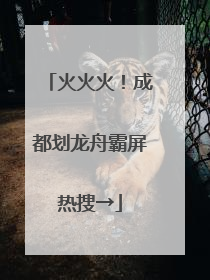 火火火！成都划龙舟霸屏热搜→