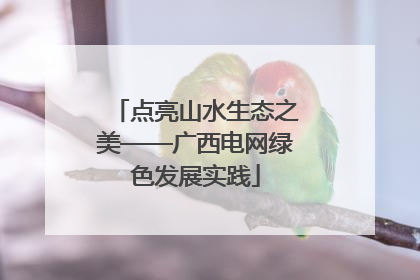 点亮山水生态之美——广西电网绿色发展实践