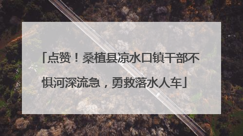 点赞！桑植县凉水口镇干部不惧河深流急，勇救落水人车