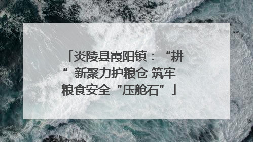 炎陵县霞阳镇：“耕”新聚力护粮仓 筑牢粮食安全“压舱石”