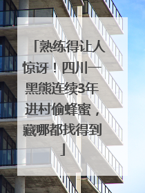 熟练得让人惊讶！四川一黑熊连续3年进村偷蜂蜜，藏哪都找得到
