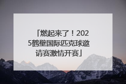 燃起来了！2025鹤壁国际匹克球邀请赛激情开赛