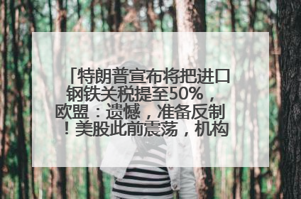 特朗普宣布将把进口钢铁关税提至50%，欧盟：遗憾，准备反制！美股此前震荡，机构：美元正进入熊市
