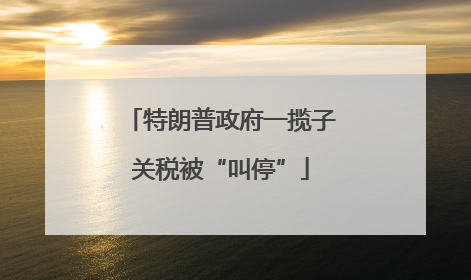 特朗普政府一揽子关税被“叫停”