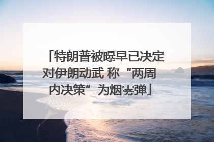 特朗普被曝早已决定对伊朗动武 称“两周内决策”为烟雾弹