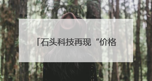 石头科技再现“价格乌龙”，其一季度存货同比增长近两倍