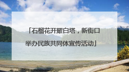 石榴花开耀白塔，新街口举办民族共同体宣传活动