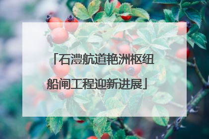 石澧航道艳洲枢纽船闸工程迎新进展