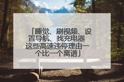 睡觉、刷视频、设置导航、找充电器 这些高速违停理由一个比一个离谱