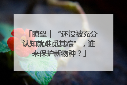瞭望｜“还没被充分认知就难觅其踪”，谁来保护新物种？