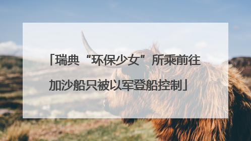 瑞典“环保少女”所乘前往加沙船只被以军登船控制