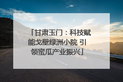 甘肃玉门：科技赋能戈壁绿洲小院 引领蜜瓜产业振兴