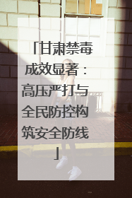 甘肃禁毒成效显著：高压严打与全民防控构筑安全防线