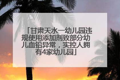 甘肃天水一幼儿园违规使用添加剂致部分幼儿血铅异常，实控人拥有4家幼儿园