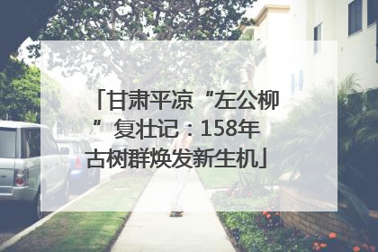 甘肃平凉“左公柳”复壮记：158年古树群焕发新生机