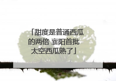 甜度是普通西瓜的两倍 襄阳首批太空西瓜熟了
