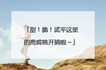甜！脆！武平这里的鹰嘴桃开摘啦～