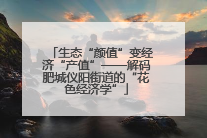 生态“颜值”变经济“产值”——解码肥城仪阳街道的“花色经济学”