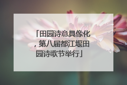 田园诗意具像化，第八届都江堰田园诗歌节举行