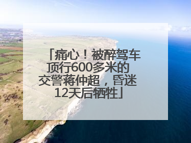 痛心！被醉驾车顶行600多米的交警蒋仲超，昏迷12天后牺牲