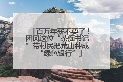 百万年薪不要了！团风这位“茶痴书记”带村民把荒山种成“绿色银行”