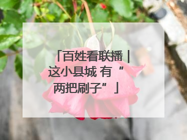 百姓看联播｜这小县城 有“两把刷子”