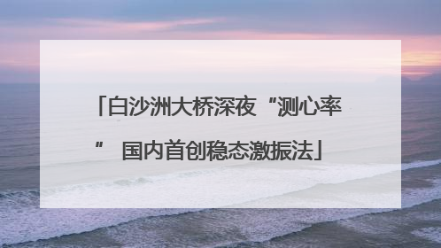 白沙洲大桥深夜“测心率” 国内首创稳态激振法