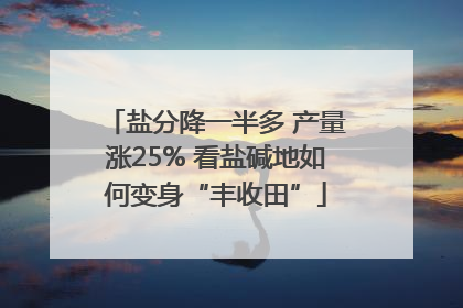 盐分降一半多 产量涨25% 看盐碱地如何变身“丰收田”
