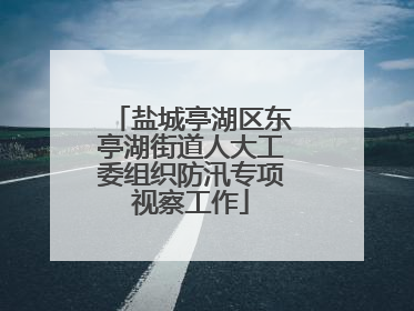 盐城亭湖区东亭湖街道人大工委组织防汛专项视察工作