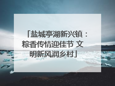 盐城亭湖新兴镇：粽香传情迎佳节 文明新风润乡村