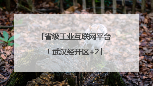 省级工业互联网平台！武汉经开区+2