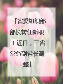 省委组织部部长转任新职！近日，三省常务副省长调整