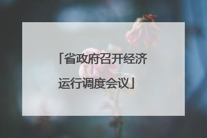 省政府召开经济运行调度会议