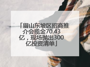 眉山东坡区招商推介会揽金70.43亿，现场抛出300亿投资清单