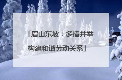 眉山东坡：多措并举构建和谐劳动关系