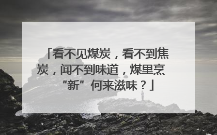 看不见煤炭，看不到焦炭，闻不到味道，煤里烹“新”何来滋味？