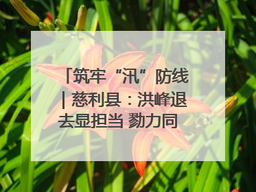筑牢“汛”防线｜慈利县：洪峰退去显担当 勠力同心启新篇