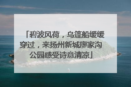 碧波风荷，乌篷船缓缓穿过，来扬州新城廖家沟公园感受诗意清凉