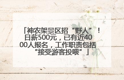 神农架景区招“野人”！日薪500元，已有近4000人报名，工作职责包括“接受游客投喂”
