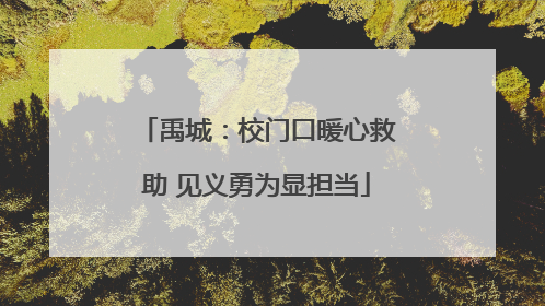 禹城：校门口暖心救助 见义勇为显担当