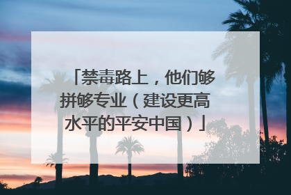 禁毒路上，他们够拼够专业（建设更高水平的平安中国）