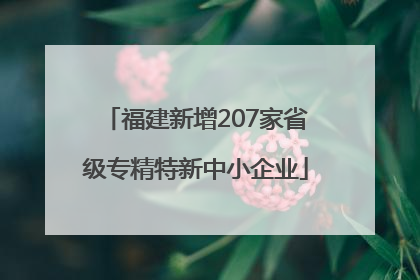 福建新增207家省级专精特新中小企业