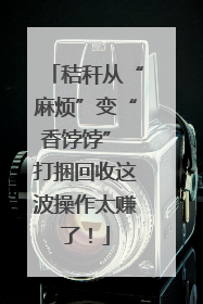 秸秆从“麻烦”变“香饽饽” 打捆回收这波操作太赚了！