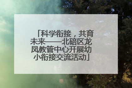 科学衔接，共育未来——北碚区龙凤教管中心开展幼小衔接交流活动