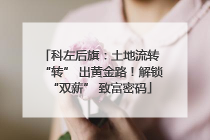 科左后旗：土地流转 “转” 出黄金路！解锁 “双薪” 致富密码